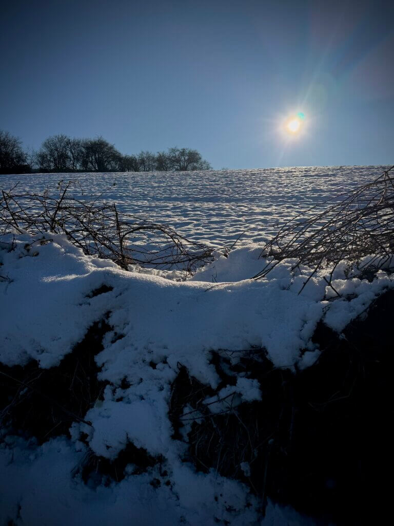 Wintersonne in Schneelandschaft