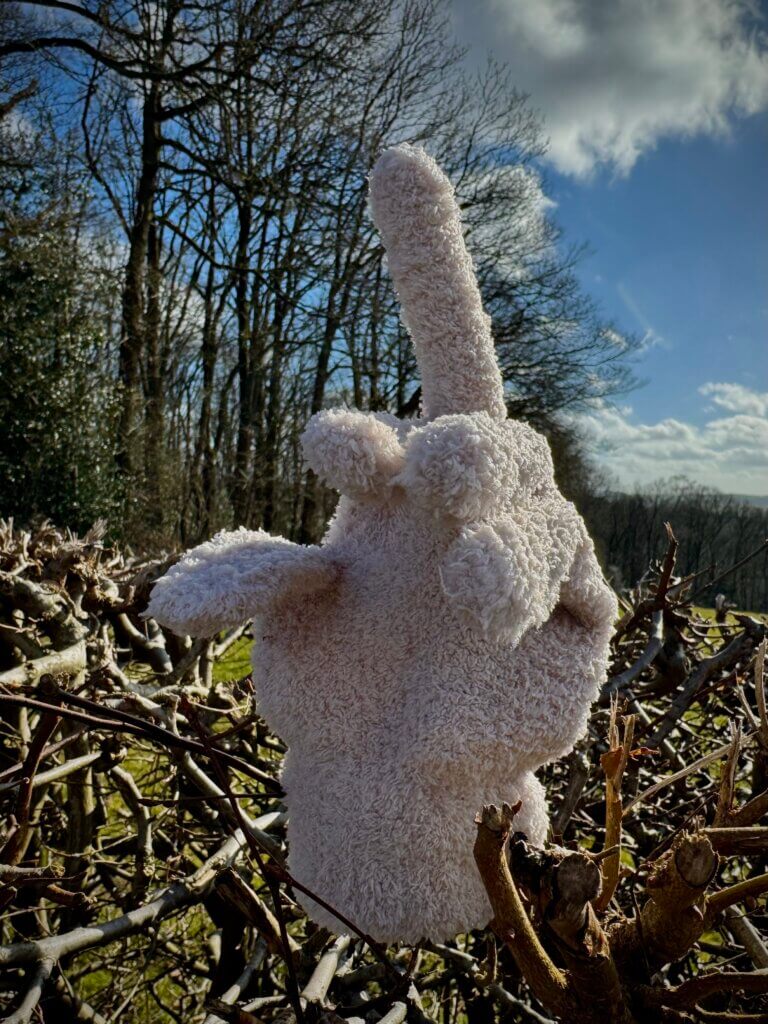 Ein Handschuh mit ausgestrecktem Mittelfinger