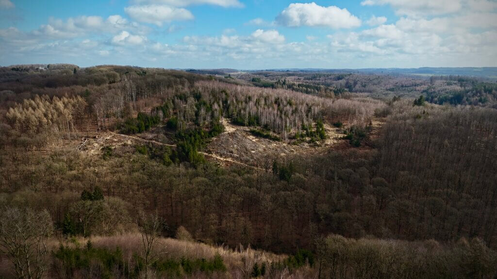 Panoramablick über Wälder