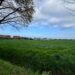 Wohnmobilstellplatz neben einem Bauernhof. Grüne Wiese drumherum mit blauem Himmel und ein paar Wolken.