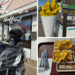 Pommespause während Motorradtour in Holland: BMW GS vor Imbiss Grandioos Cafetaria, riesige Pommes-Deko, typisch holländisches Fast Food mit Frietspezial und Frikandel mit Zwiebeln