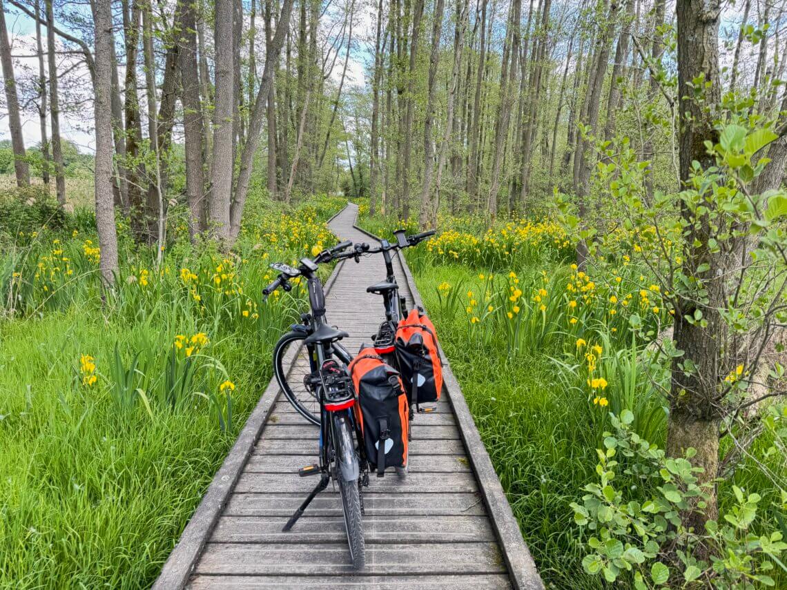 Zwei Fahrräder mit roten Packtaschen stehen auf einem schmalen hölzernen Stegweg, der durch einen grünen Auwald mit hohen Bäumen und blühenden gelben Schwertlilien führt. Die Szene wirkt ruhig und naturverbunden bei hellem Tageslicht. Radtour Kevelaer