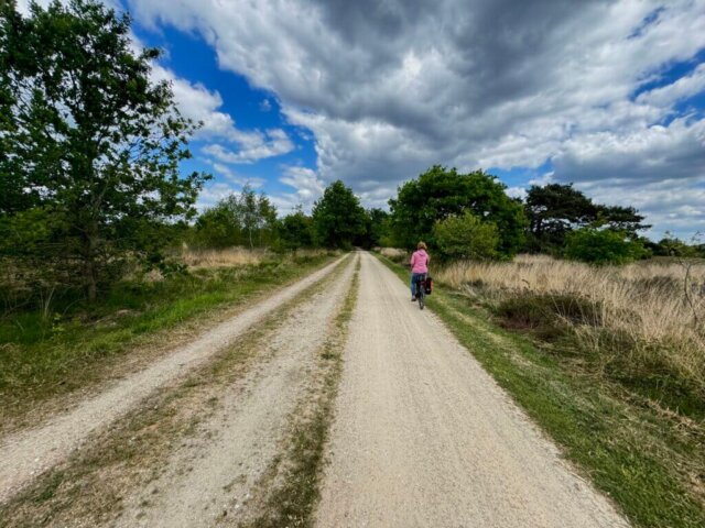 Eine Person in pinker Jackefährt mit ihrem Fahrrad auf einem breiten, hellen Schotterweg durch eine offene Heidelandschaft mit trockenem Gras und grünen Büschen. Der Weg führt in ein kleines Waldstück, darüber ein Himmel mit dunklen und blauen Wolkenfeldern. Radtour Kevelaer