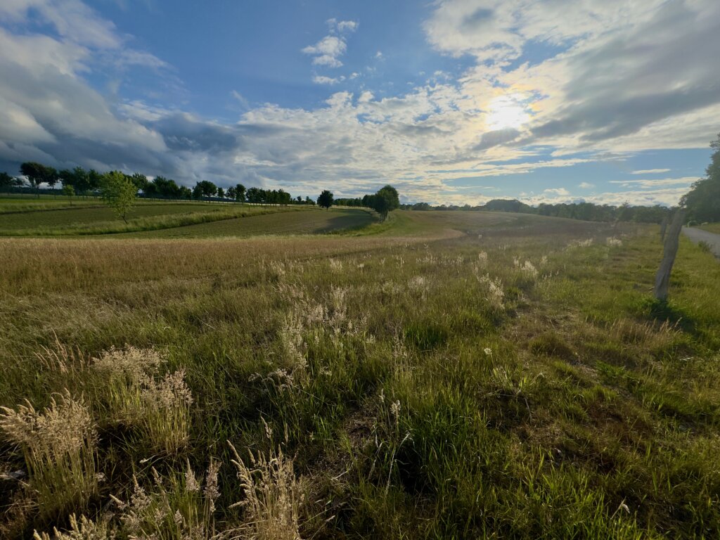 Landschaftsaufnahme der Schaalseeregion in Seedorf