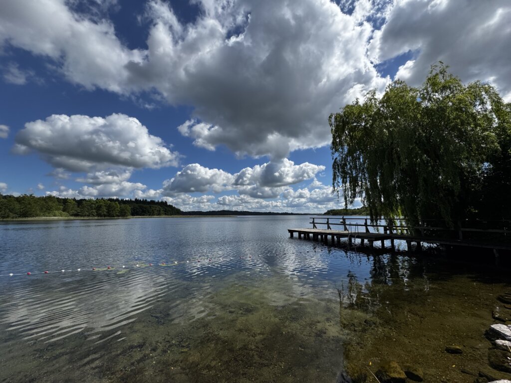Idyllischer Badesee mit Steg und Weide – klares Wasser unter blauem Himmel mit weißen Wolken, ein Holzsteg lädt zum Verweilen ein, rechts eine große Trauerweide am Ufer, umgeben von stiller Natur in Norddeutschland. Badestelle Seedorf Schaalsee