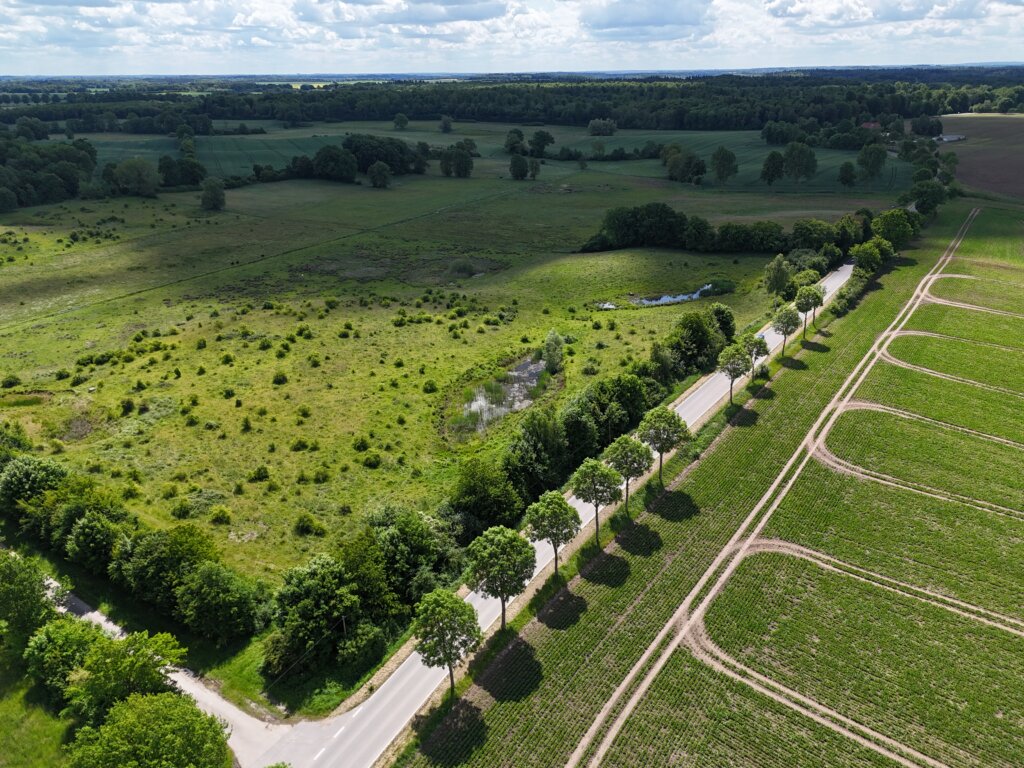 Landschaft in Norddeutschland mit Feldern, Wiesen und einer Allee – Drohnenaufnahme zeigt eine von Bäumen gesäumte Landstraße zwischen einem gepflegten Ackerfeld und einer naturbelassenen Wiese mit kleinem Teich, im Hintergrund dichter Mischwald unter teils bewölktem Himmel. Schaalsee, Seedorf, Schalseeregion
