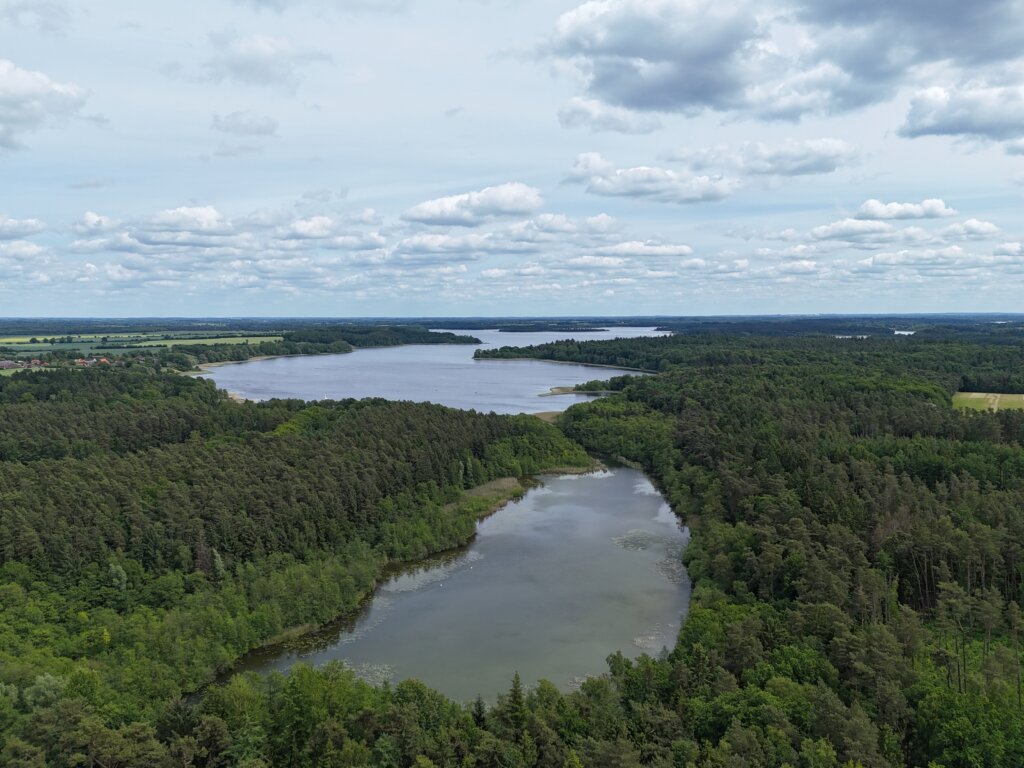 Drohnenaufnahme eines großen Waldsees in Norddeutschland – dichter Mischwald umgibt das klare Gewässer, das sich mit mehreren Buchten durch die Landschaft schlängelt, unter einem leicht bewölkten Himmel mit weiter Fernsicht bis zum Horizont. Schaalsee