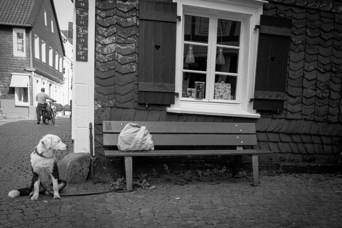 Hund sitzt angeleint vor einer leeren Parkbank in einer Altstadtgasse, daneben eine Stofftasche. Streetfotografie im Ruhestand