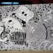 Schwarz-weiße Horror-Vacui-Zeichnung im Doodle-Stil mit Totenköpfen, Fantasiefiguren und organischen Mustern ohne leere Flächen.