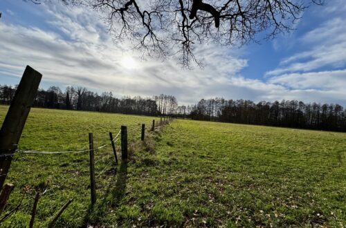 Landschaft am Niederrhein