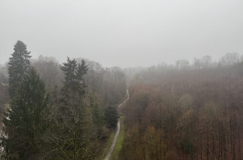 Blick von der Saubrücke in Velbert über das Rinderbachtal