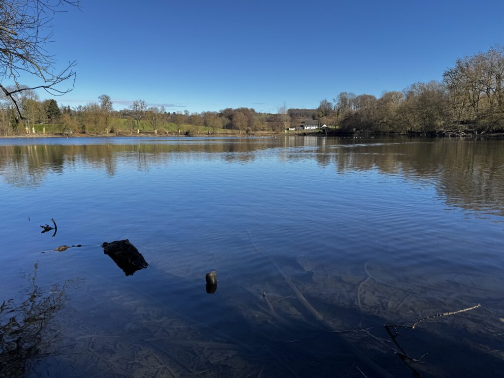 Abtskücher Teich in Velbert mit spiegelglatter blauer Wasseroberfläche, Treibholz im Vordergrund und bewaldeten Ufern im Hintergrund