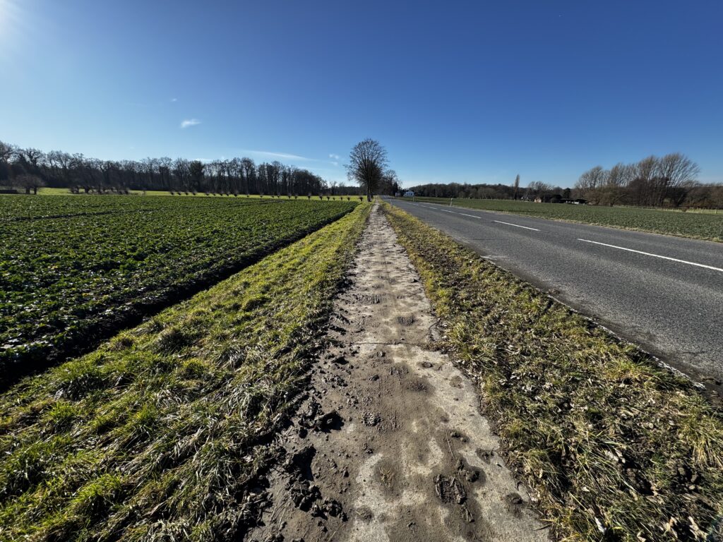 Asphaltierte Landstraße bei Velbert mit grünen Ackerflächen, matschigem Feldweg und kahlen Bäumen unter blauem Winterhimmel