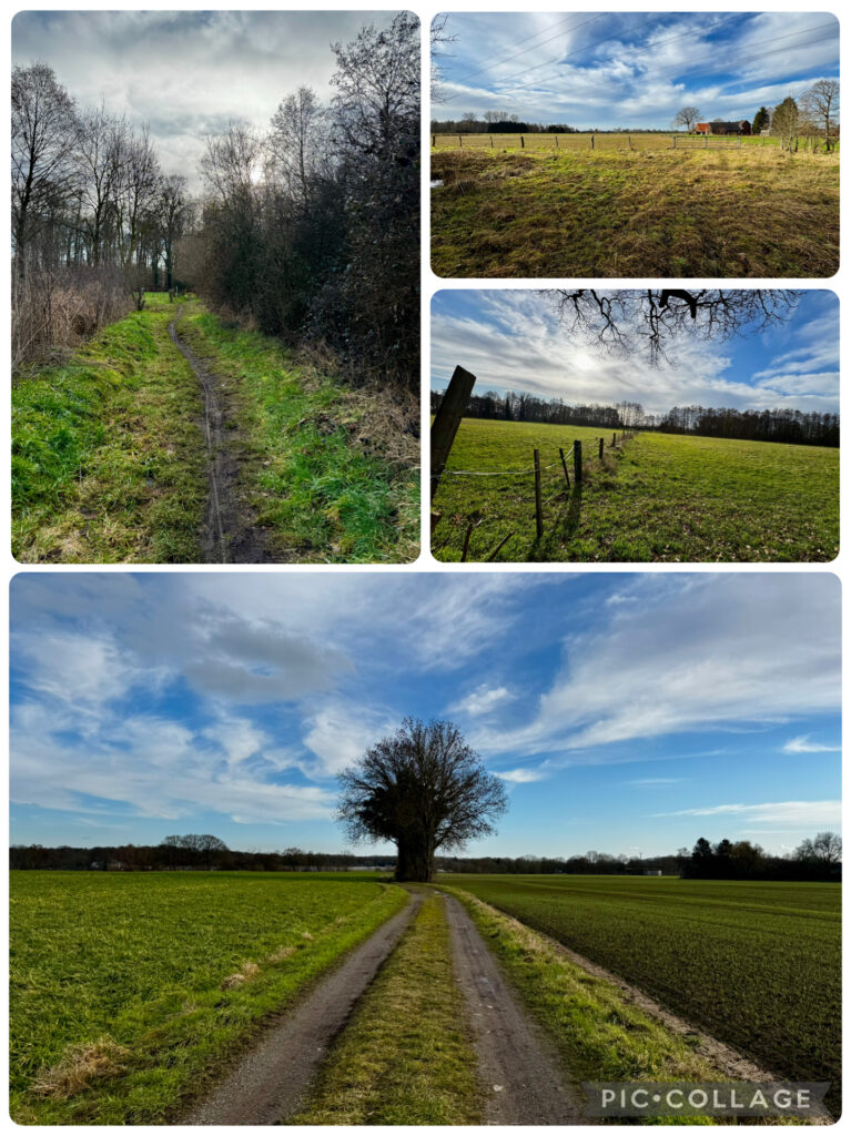 Niederrheinische Landschaft bei Kamp-Lintfort – Feldwege, Wiesen und weiter Himmel im Februar