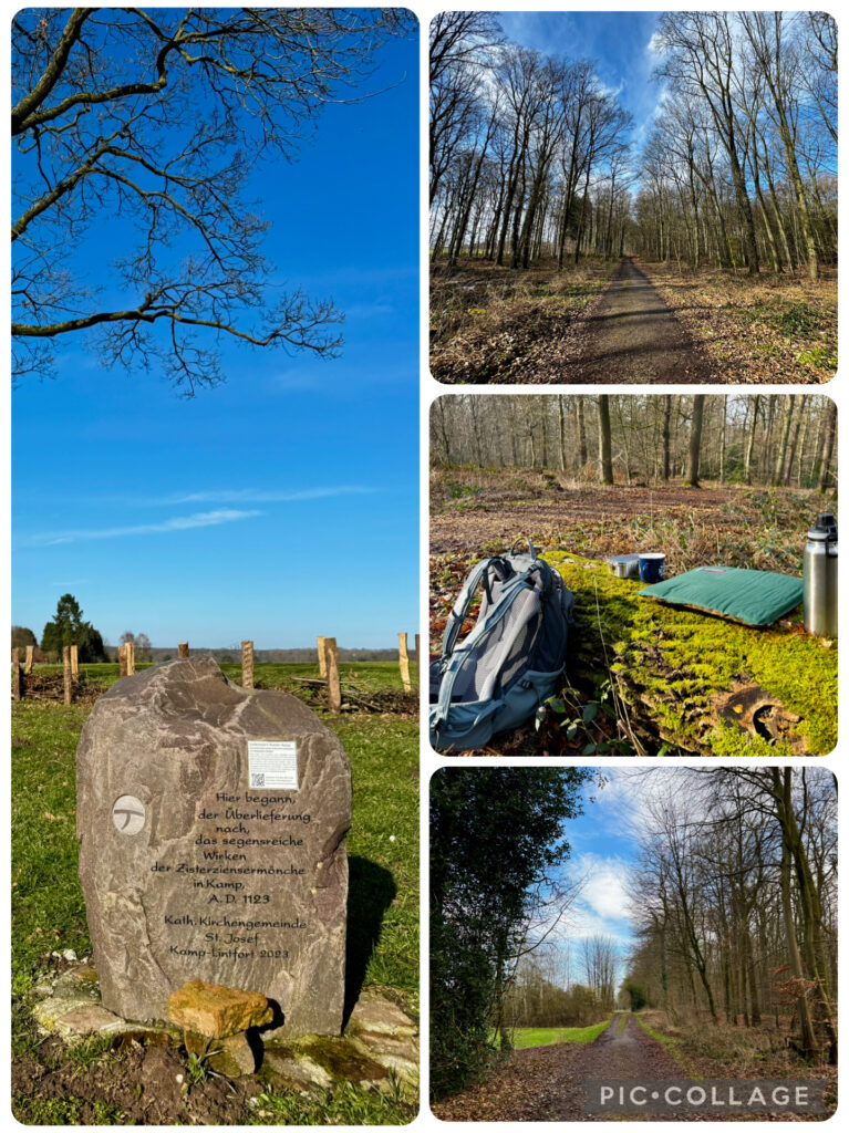 Wanderung durch den Kamper Wald zum Kloster Kamp – Waldwege, Gedenkstein und Pause im Wald