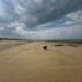 Weiter Sandstrand bei De Haan an der belgischen Nordseeküste mit Hund, Wolken und zurückgezogenem Meer.