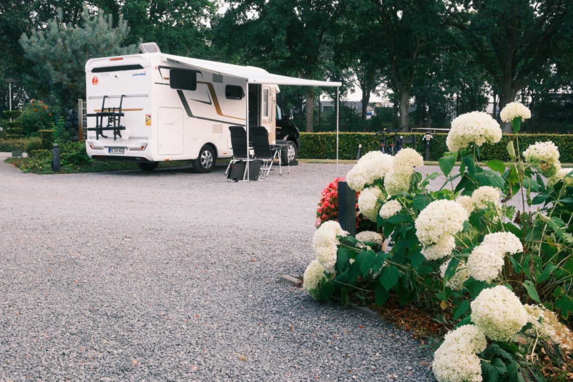 Weißes Wohnmobil mit ausgefahrener Markise und Campingstühlen auf einem Stellplatz mit blühenden weißen Hortensien im Vordergrund.