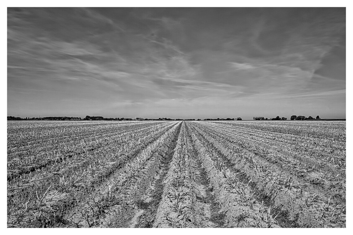Gerade Ackerfurchen laufen auf einen Fluchtpunkt zu, am Horizont Dorfsilhouette mit Bäumen, dramatischer Wolkenhimmel, Schwarzweiß-Landschaftsfotografie