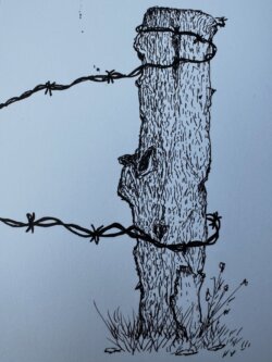 Verwitterter Holzpfahl mit Stacheldraht in ländlicher Umgebung. Inktober 2025 by haldewitzka, Martin Pesch