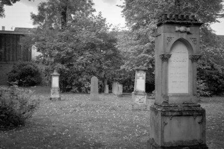 Weitwinkelaufnahme eines alten Friedhofs in Schwarz-Weiß. Im Vordergrund ein mächtiger Baumstamm, im Hintergrund mehrere historische Grabsteine und Säulen, umgeben von dichten, hohen Bäumen. Herbstlaub bedeckt den Boden. Die Szene wirkt ruhig, verlassen und fast märchenhaft verwunschen. Stiller Park velbert