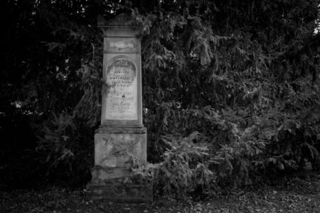 Ein hoher, gotisch geformter Grabstein lehnt fast versteckt an einer großen Tanne. Die Inschrift „Karlberg“ ist erkennbar. Darunter sind klassische Friedhofssymbole wie Kreuz und Zweige eingraviert. Dichte Nadeläste umrahmen das Denkmal fast vollständig. Stiller Park Velbert