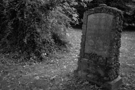 Verkippter Grabstein aus grob behauenen Natursteinen, eingefasst in eine rustikale, unregelmäßige Steinstruktur. Die Inschrift ist stark verwittert, Namen wie „Ferdinand“ und „Van der Venne“ sind noch erkennbar. Der Grabstein steht auf einer Lichtung inmitten von Herbstlaub, umgeben von wucherndem Efeu und schattigem Gehölz. Die Atmosphäre wirkt zurückgezogen, still und von Natur überwachsen. Stiller Park Velbert