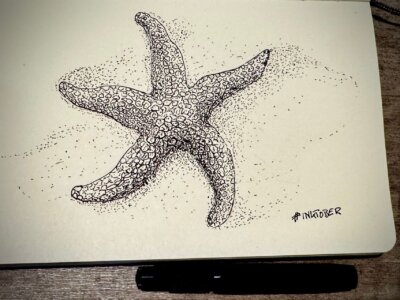 Feine Punktzeichnung eines Seesterns im Sand. Die Struktur des Tiers ist mit vielen kleinen Punkten schattiert. Schwarz-weiß gezeichnet mit Fineliner auf Papier, typischer Inktober-Stil.