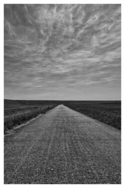 Schnurgerade Deichstraße führt zum Horizont unter strukturiertem Wolkenhimmel, Schwarzweiß-Landschaftsfotografie